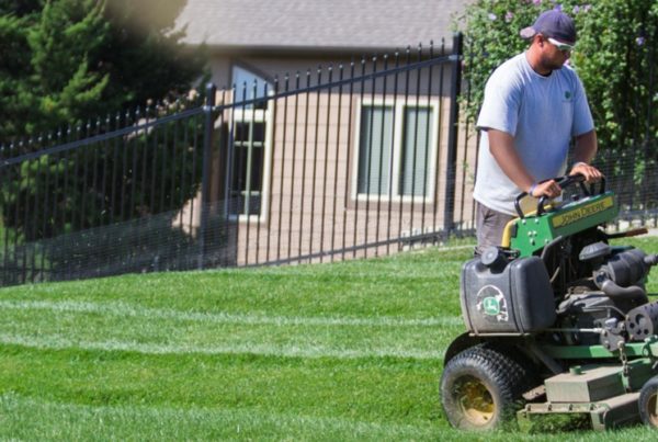 Wichita lawn care